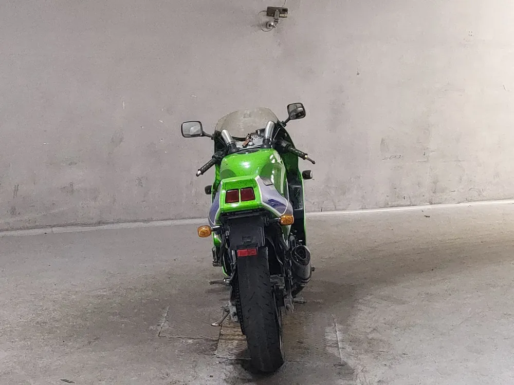 Kawasaki Balius, зелёный, фото 4