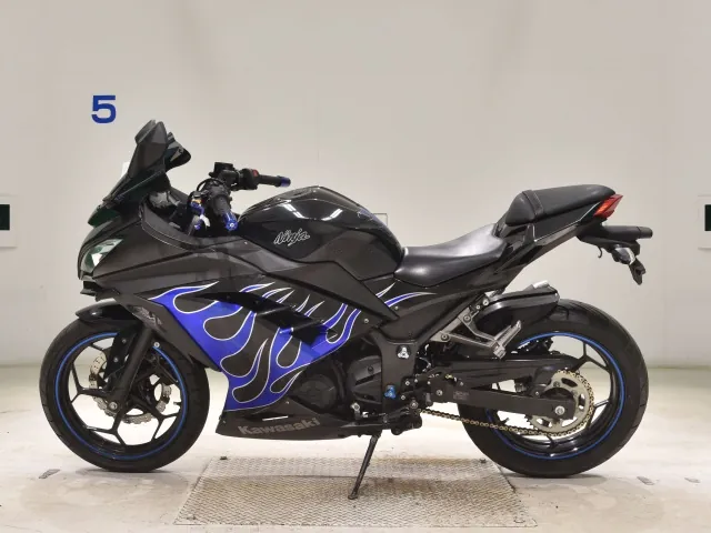Kawasaki Ninja 250, black | blue, фото 2