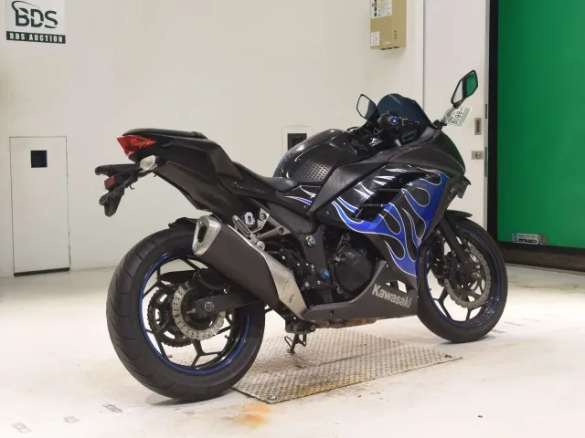 Kawasaki Ninja 250, black | blue, фото 5