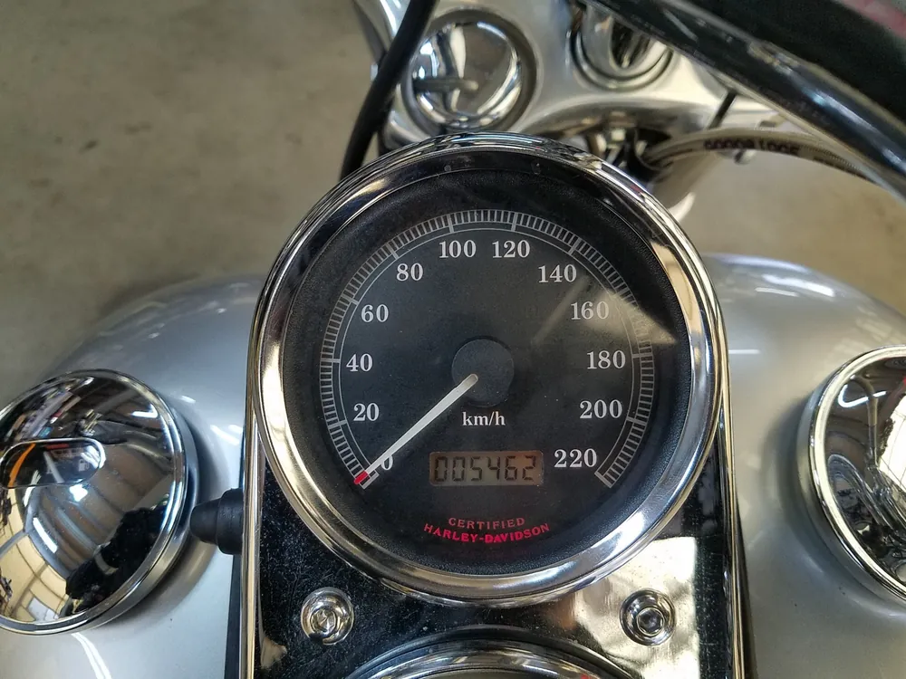 Harley-Davidson FXDL Dyna Low Rider 2002, чёрный, серебристый, фото 3