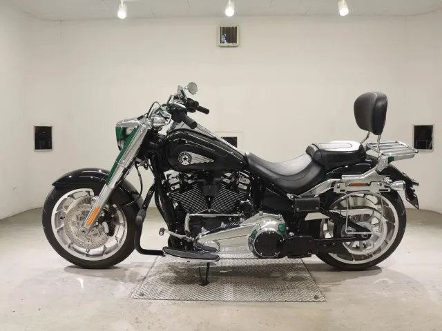 Harley-Davidson FLFB1920 2025, чёрный, фото 2