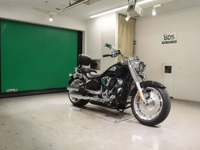 Harley-Davidson FLFB1920 2025, чёрный, фото 3