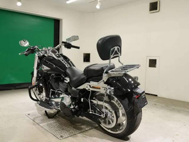 Harley-Davidson FLFB1920 2025, чёрный, фото 6