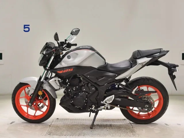 Yamaha MT-25 RG43J, серый, фото 2