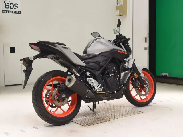 Yamaha MT-25 RG43J, серый, фото 5