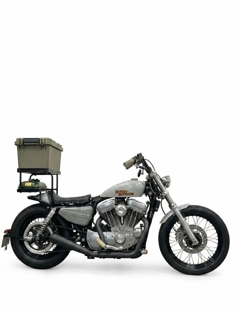 Harley-Davidson Sportster 883 2006, фото 2