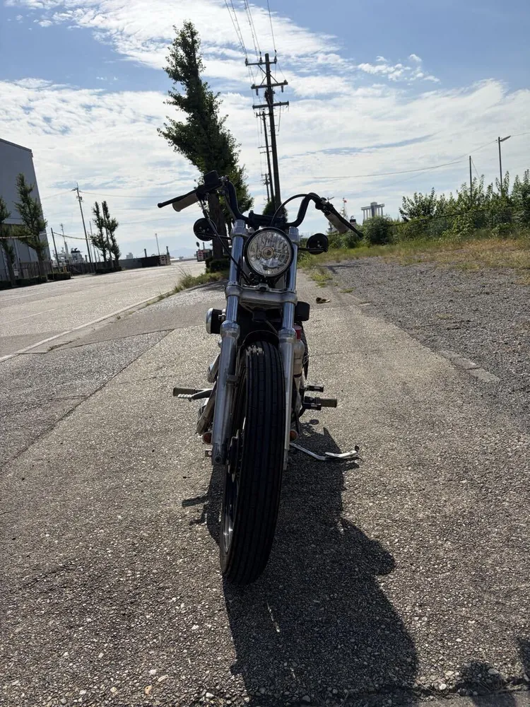 Harley-Davidson Sportster 883 2006, фото 4