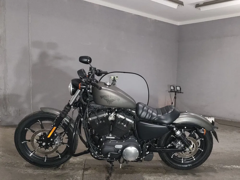 Harley-Davidson XL883N 2018, серый, фото 2