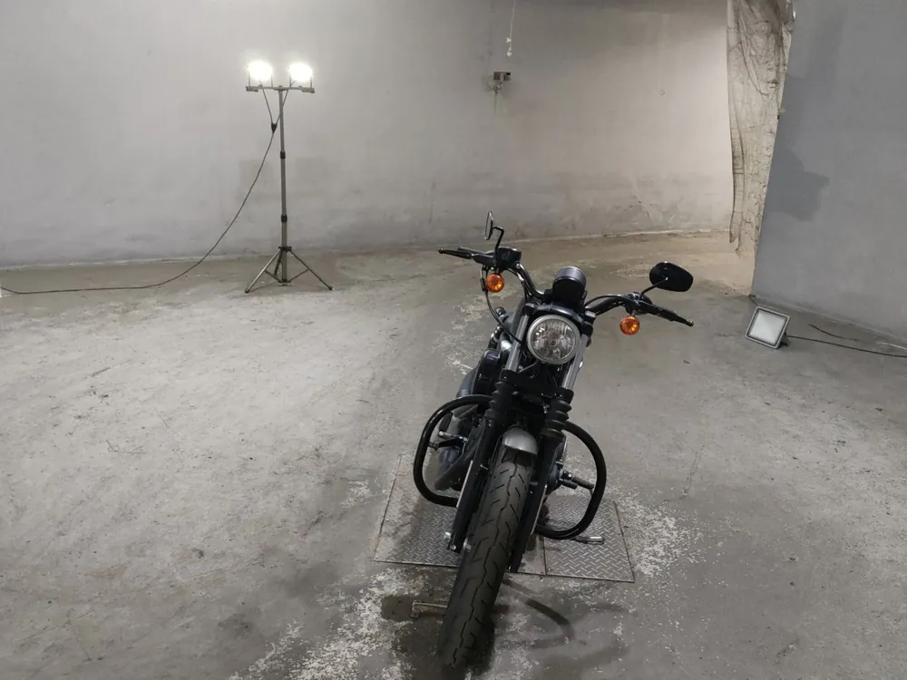Harley-Davidson XL883N 2018, серый, фото 3