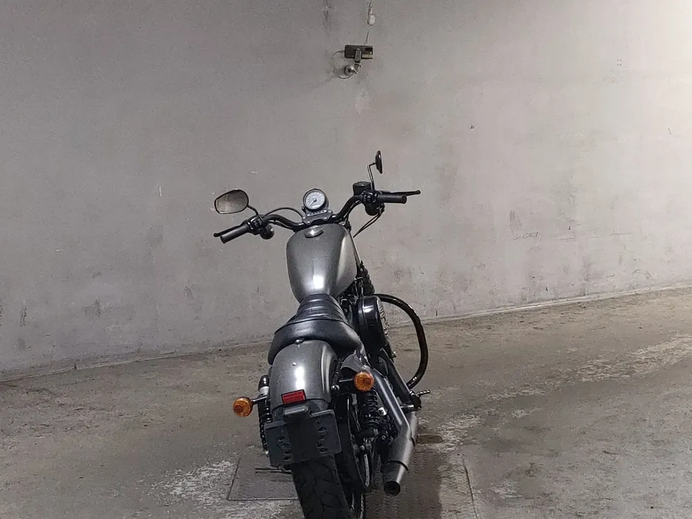Harley-Davidson XL883N 2018, серый, фото 4