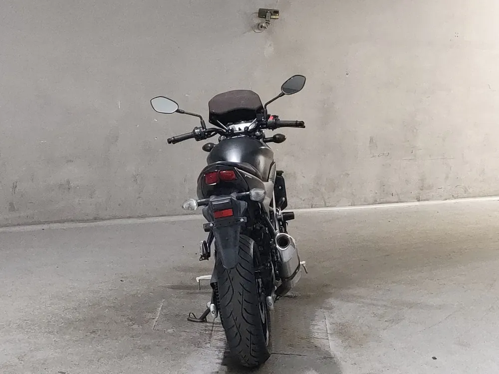 Suzuki SV650 2020, серый, фото 4