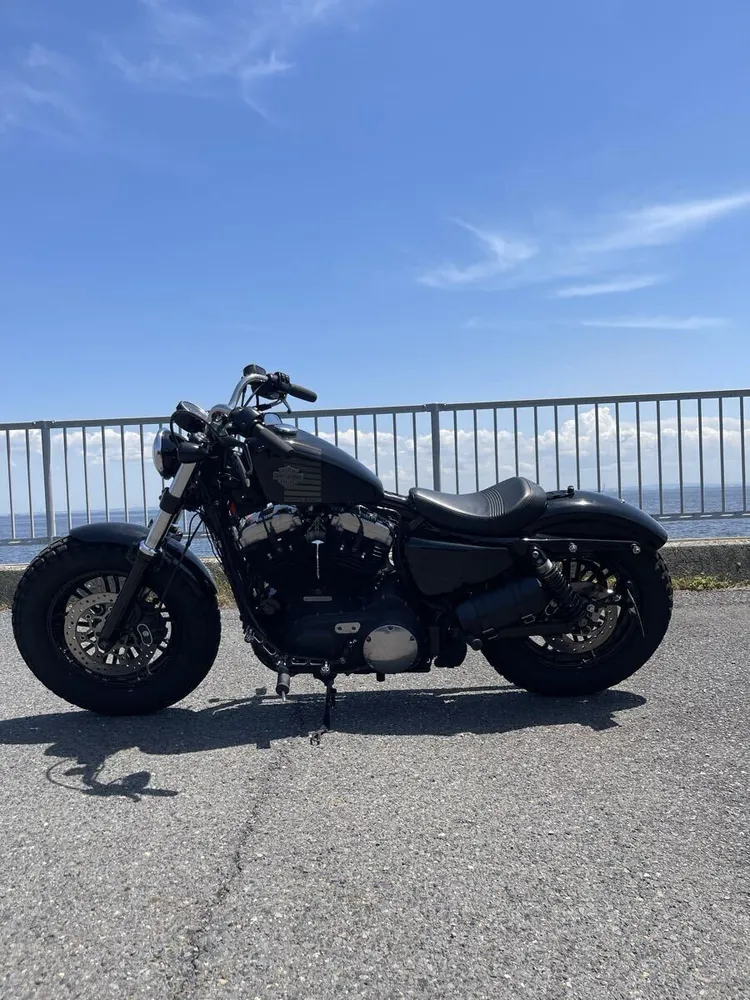 Harley-Davidson XL1200X Forty-Eight 2018, фото 3