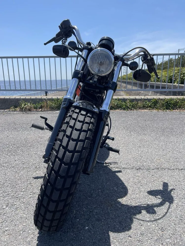 Harley-Davidson XL1200X Forty-Eight 2018, фото 4