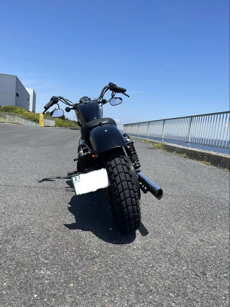 Harley-Davidson XL1200X Forty-Eight 2018, фото 5