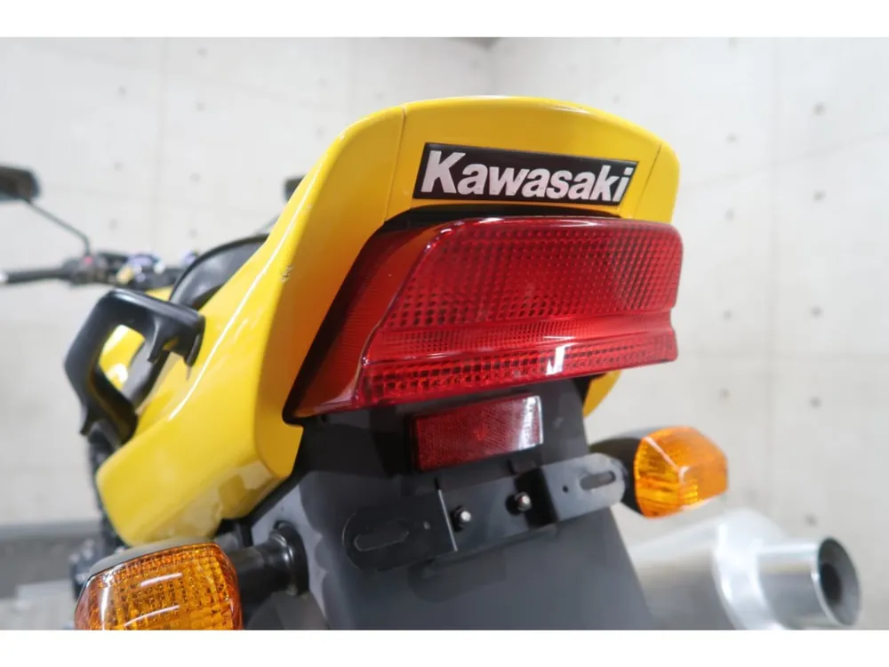 Kawasaki ZRX1100 2000, жёлтый, фото 19