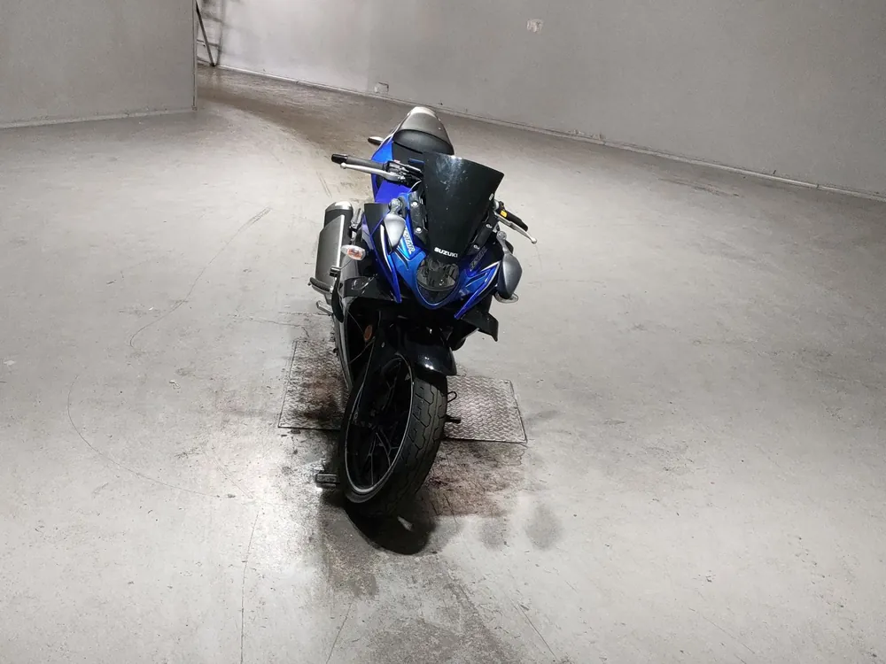 Suzuki GSX250R DN11A, black / blue, фото 3