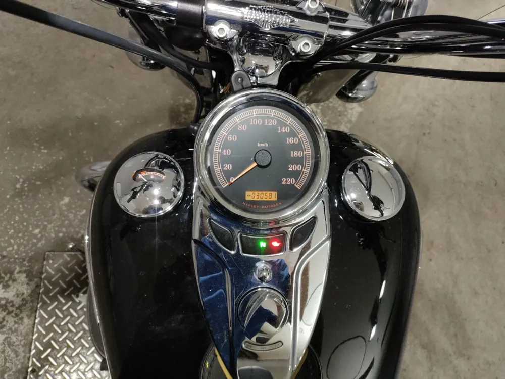 Harley-Davidson Heritage Softail Classic 2008, чёрный, фото 5