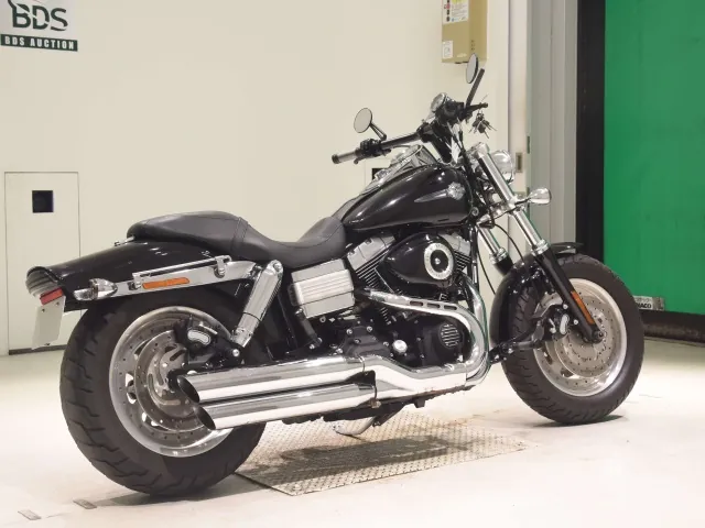 Harley-Davidson FXDF1580 2009, чёрный, фото 5