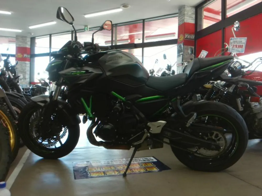Kawasaki Z650A 2023, серый, фото 2