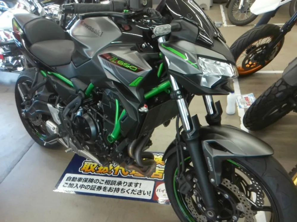 Kawasaki Z650A 2023, серый, фото 4