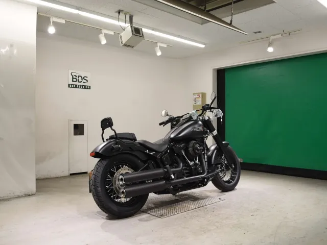 Harley-Davidson FLSL1750 2018, matt black, фото 5