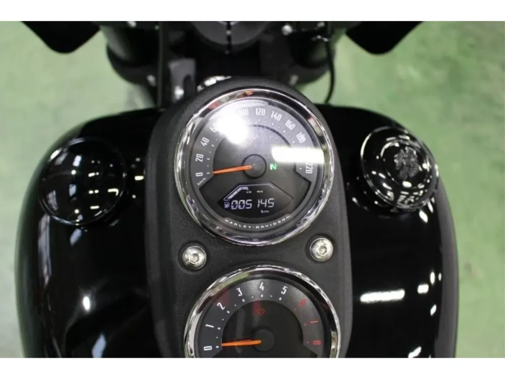 Harley-Davidson FXLRS 2021, чёрный, фото 3