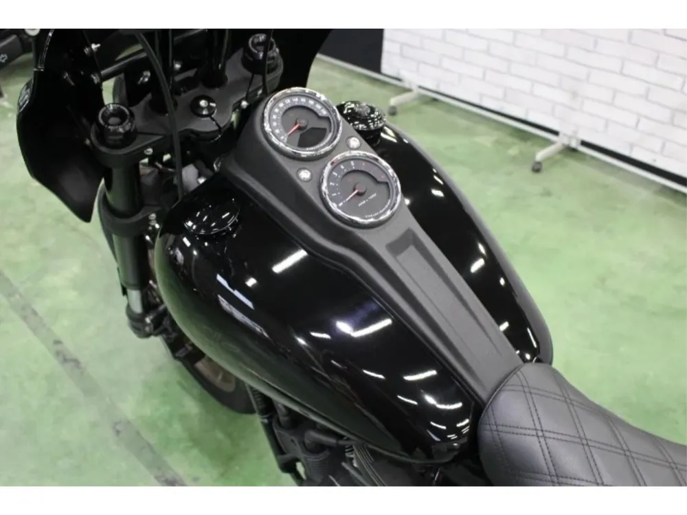 Harley-Davidson FXLRS 2021, чёрный, фото 4