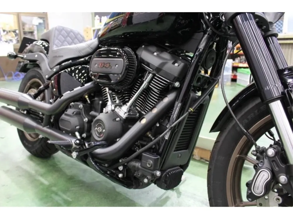 Harley-Davidson FXLRS 2021, чёрный, фото 6