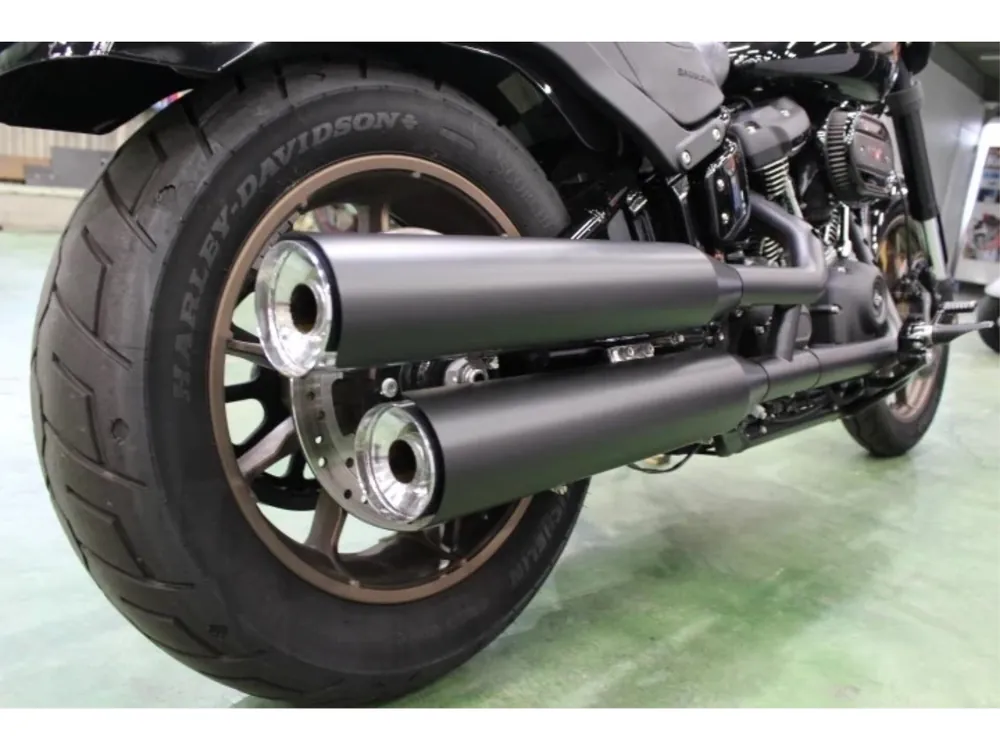 Harley-Davidson FXLRS 2021, чёрный, фото 8