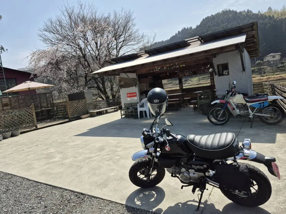 Honda Monkey 125 2025, фото 3
