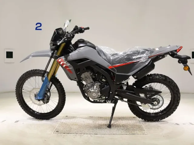 Honda CRF250 Rally, чёрный, серый, фото 2