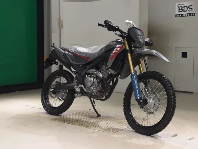 Honda CRF250 Rally, чёрный, серый, фото 3
