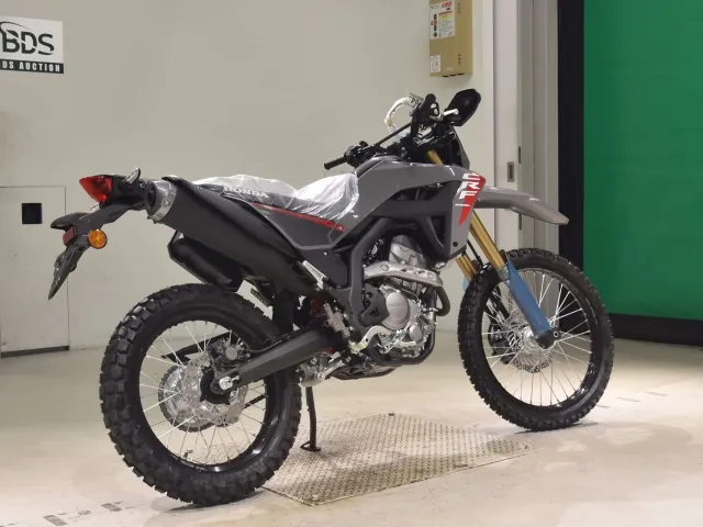 Honda CRF250 Rally, чёрный, серый, фото 5