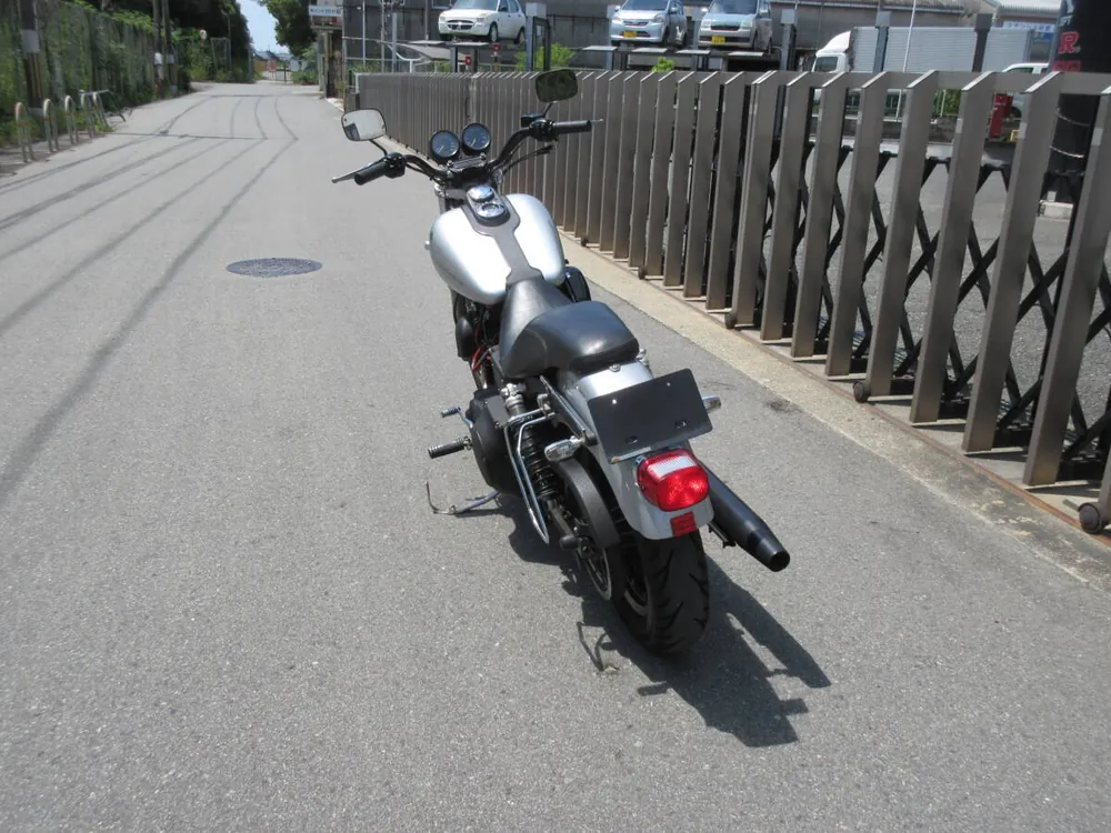 Harley-Davidson FXDX 2000, фото 2
