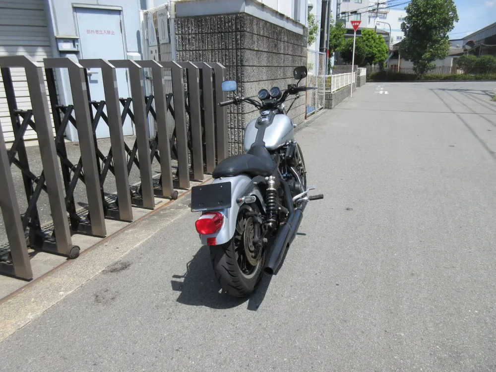 Harley-Davidson FXDX 2000, фото 4