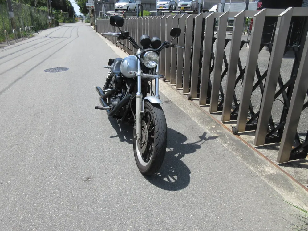 Harley-Davidson FXDX 2000, фото 6