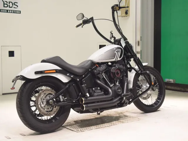 Harley-Davidson FXBBS1870 2021, белый, фото 5