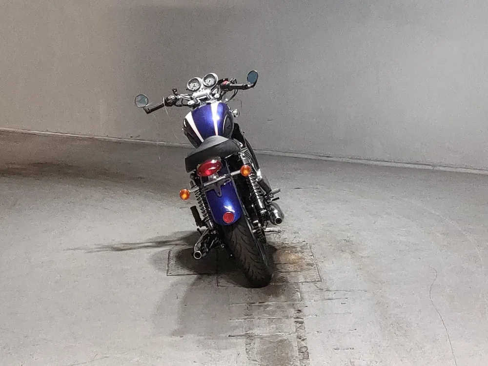 Triumph T100 Bonneville 2004, white / blue, фото 4