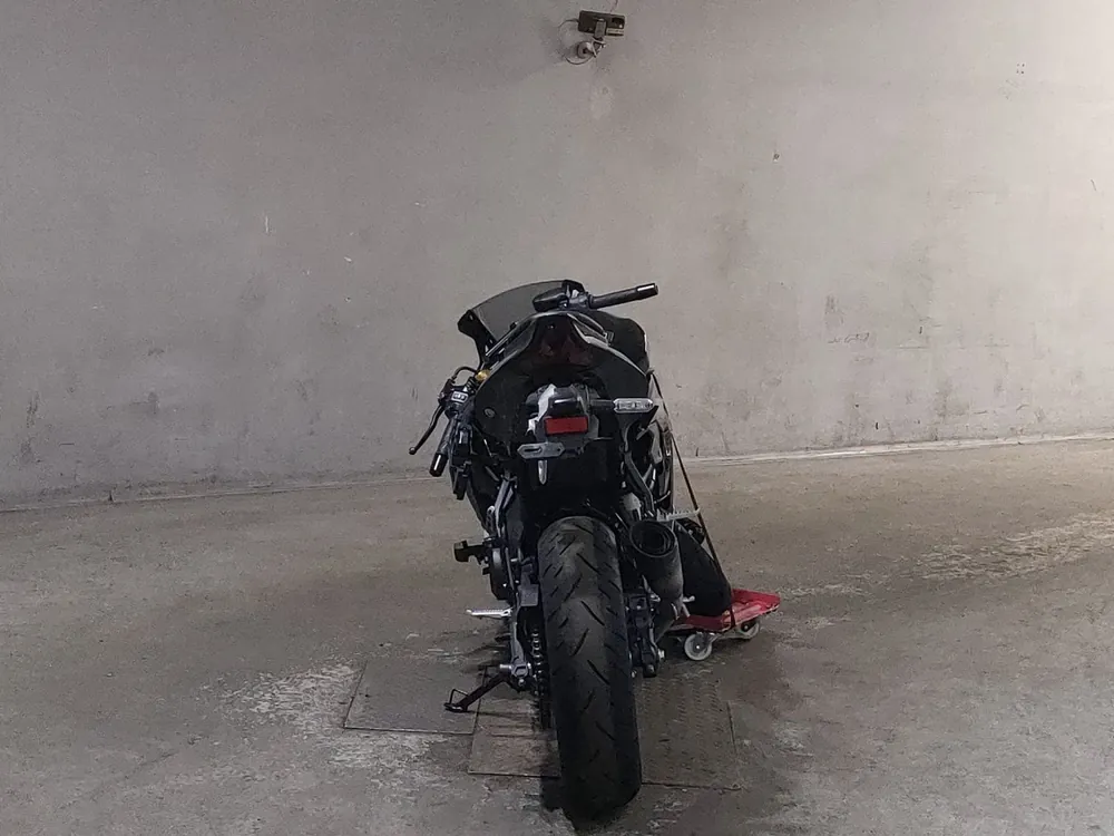 Kawasaki ZX-4R SE 2025, black/gray, фото 4