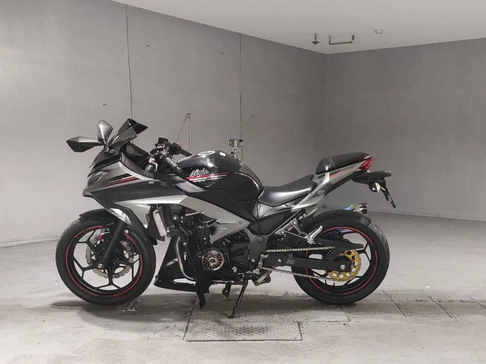 Kawasaki Ninja 250, black/gray, фото 2