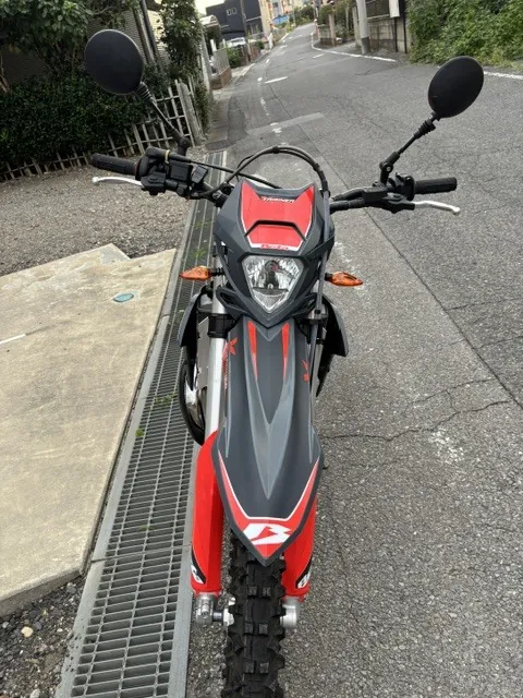 Beta X-Trainer 250LD 2025, фото 4