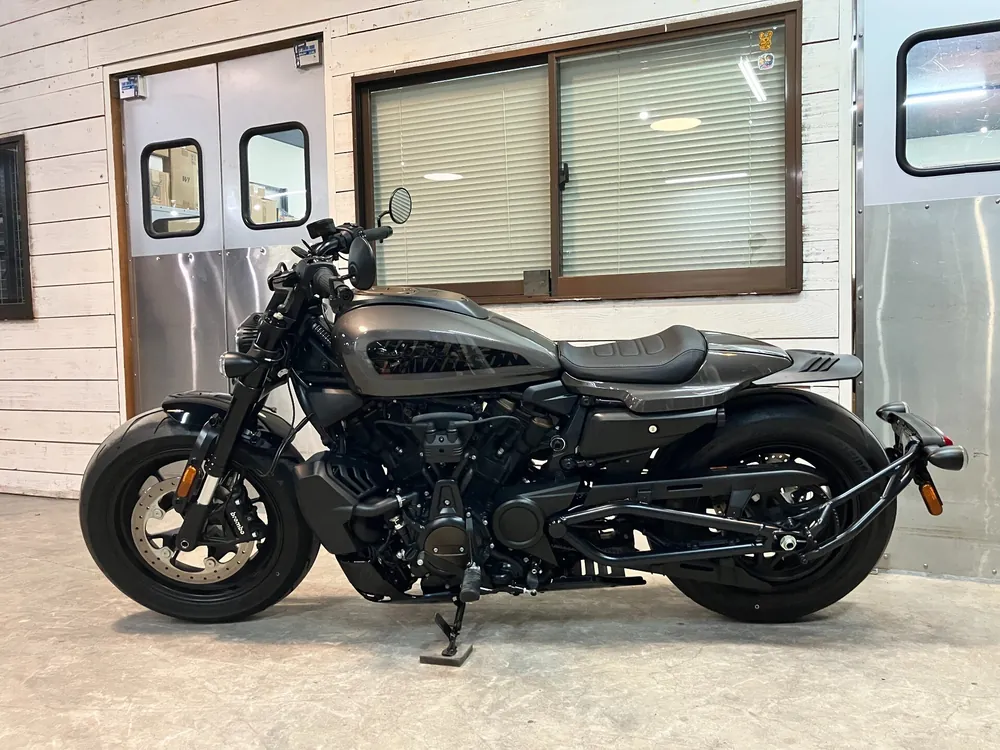 Harley-Davidson RH1250S 2024, серый, фото 2
