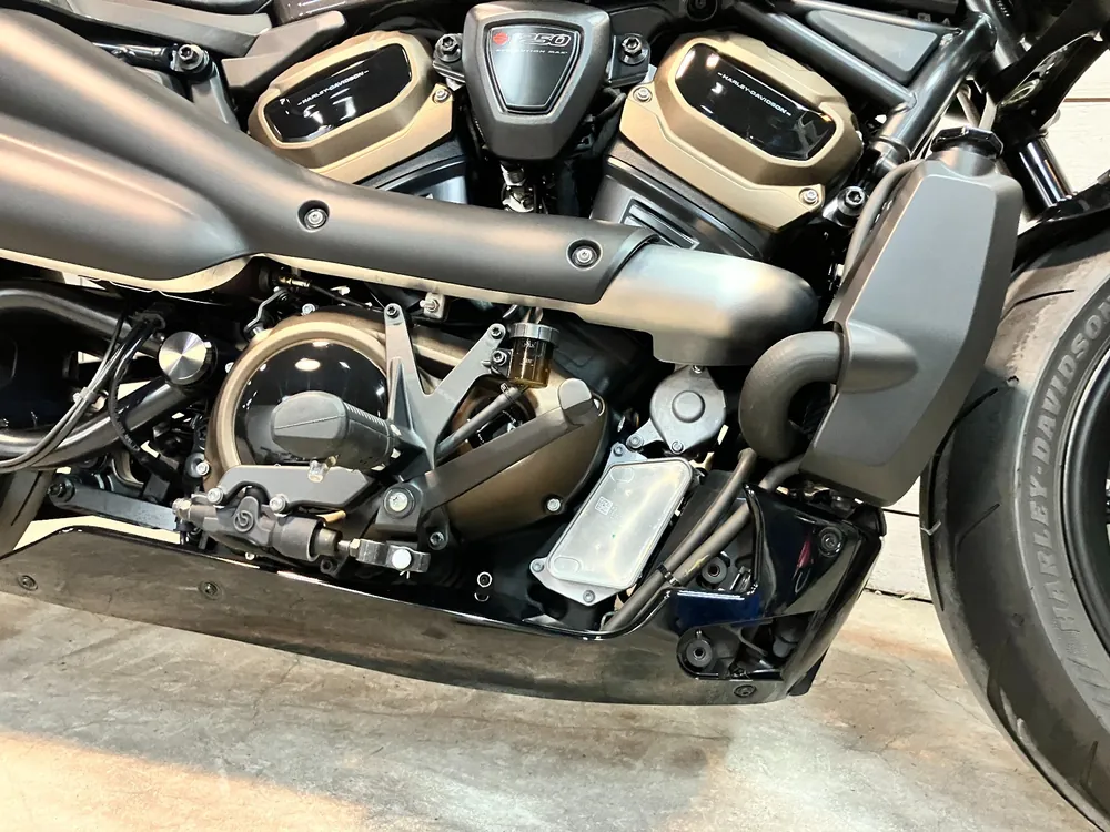 Harley-Davidson RH1250S 2024, серый, фото 13