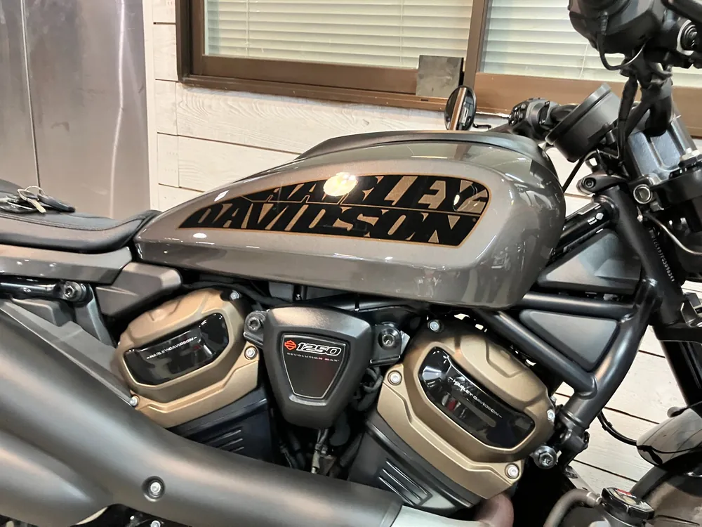 Harley-Davidson RH1250S 2024, серый, фото 15