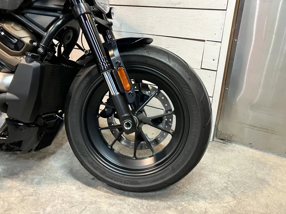 Harley-Davidson RH1250S 2024, серый, фото 19