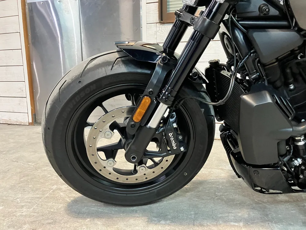 Harley-Davidson RH1250S 2024, серый, фото 20