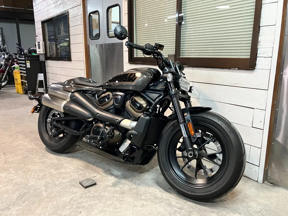 Harley-Davidson RH1250S 2024, серый, фото 7
