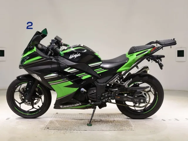 Kawasaki Ninja 250, black | green, фото 2