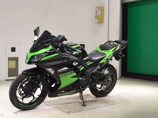 Kawasaki Ninja 250, black | green, фото 4