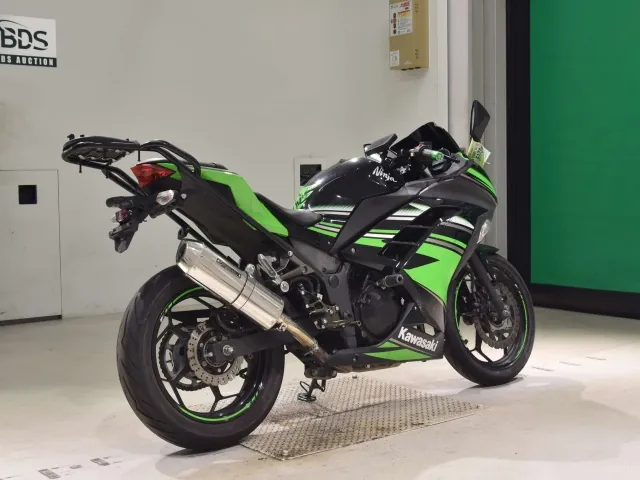 Kawasaki Ninja 250, black | green, фото 5